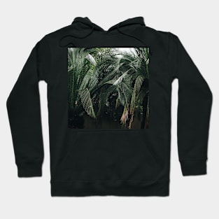 Jungle Palms Hoodie